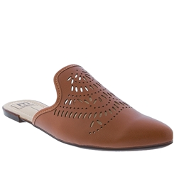 mule moleca