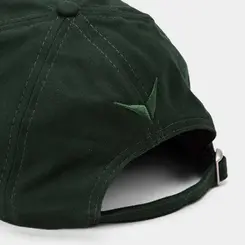 Boné Aba Curva Ace Vertus Verde