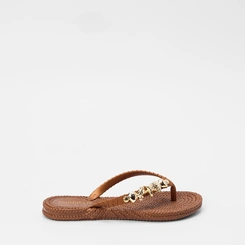 Chinelo Feminino Gabriela Detalhe Conchas & Estrela Do Mar Marrom