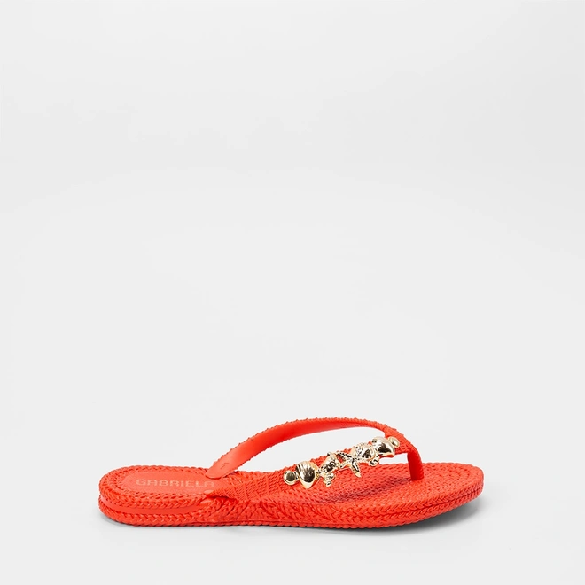 Chinelo Feminino Gabriela  Detalhe Conchas & Estrela Do Mar Laranja