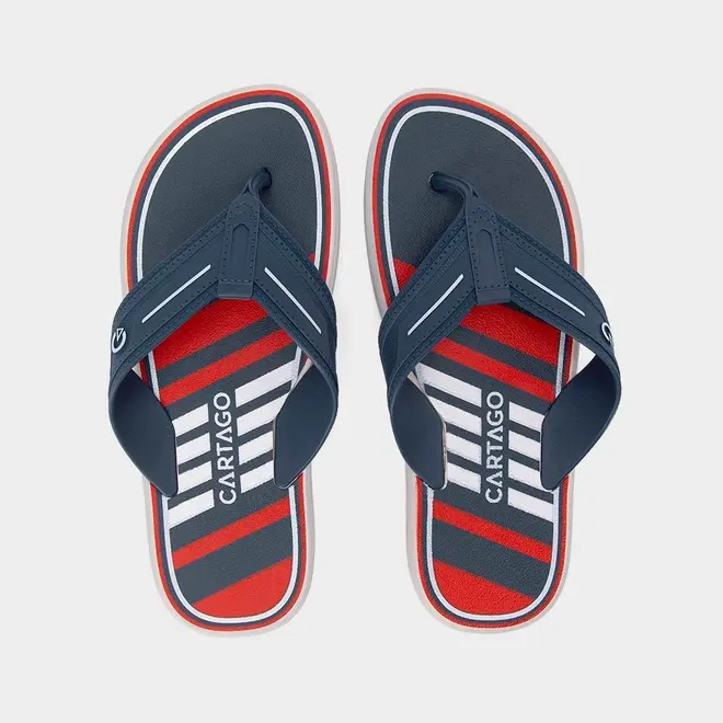 Chinelo Masculino Cartago Palermo II Azul