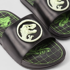 Slide Infantil Grendene Kids Jurassic World Preto