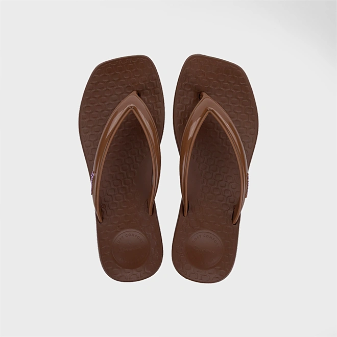 Chinelo Feminino Ipanema Pluma Marrom