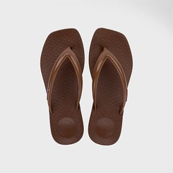 Chinelo Feminino Ipanema Pluma Marrom