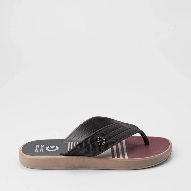 Chinelo Masculino Cartago Montreal Azul