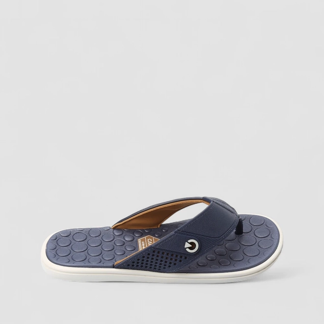 Chinelo Masculino Cartago Veneto IV Marinho