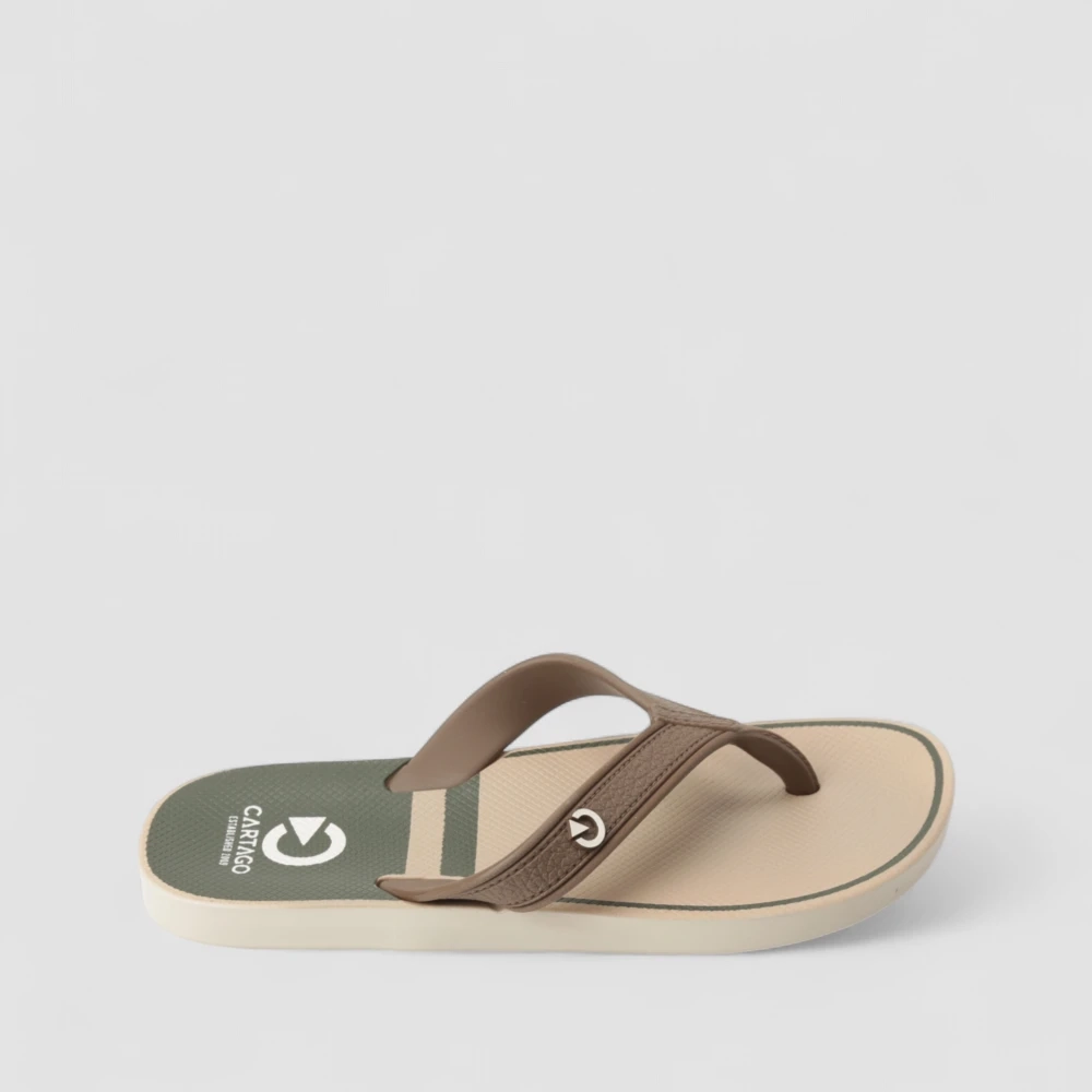 Chinelo Infantil Cartago Listras Marrom & Verde